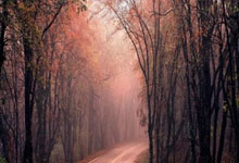 海星体育官网：记者：预计明日赛前18：40，国安将为于大宝举办退役仪式.