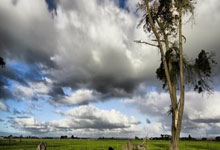 国外小哥用钓来的鱼当诱饵，钓到巨型石斑鱼，看起来比人还大!.