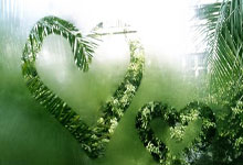 海星体育官网：英超-德布劳内传射多库破门 曼城3-0诺丁汉森林.